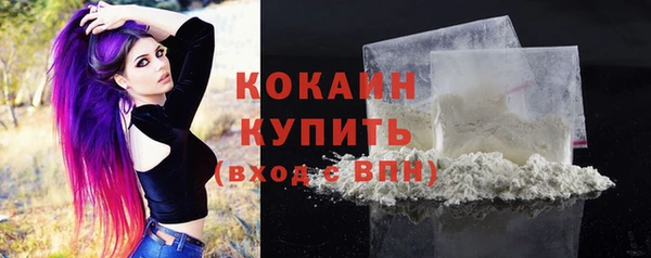 спиды Сосновый Бор