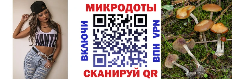Галлюциногенные грибы Magic Shrooms  сколько стоит  Кашин 